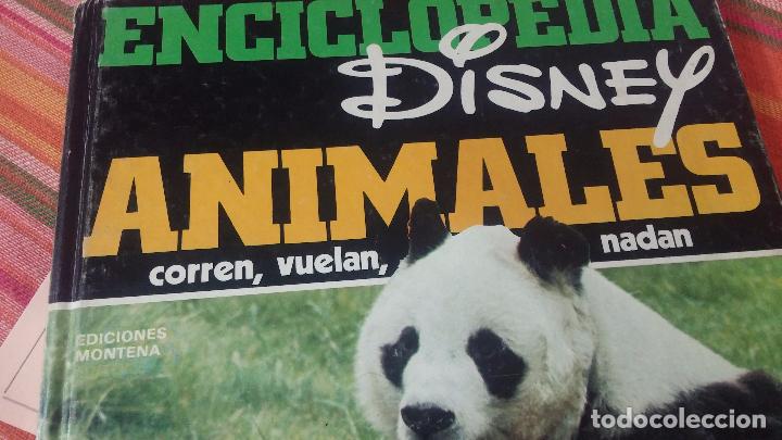 Enciclopedias antiguas: ENCICLOPEDIA DISNEY - Foto 21