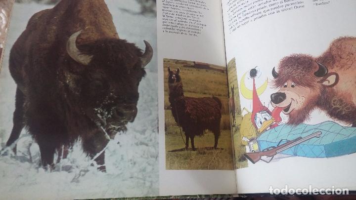 Enciclopedias antiguas: ENCICLOPEDIA DISNEY - Foto 22