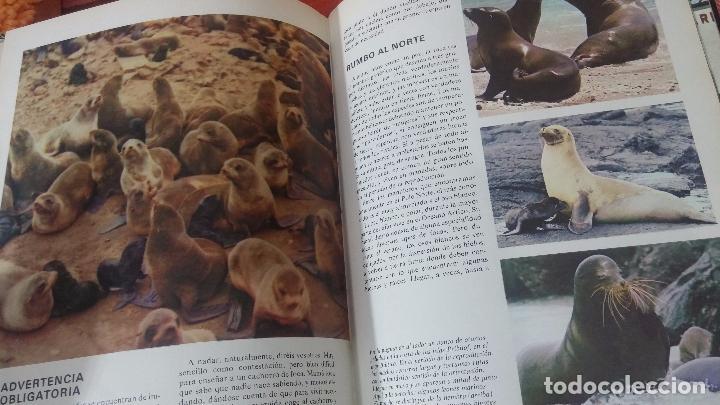 Enciclopedias antiguas: ENCICLOPEDIA DISNEY - Foto 23