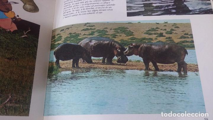 Enciclopedias antiguas: ENCICLOPEDIA DISNEY - Foto 24