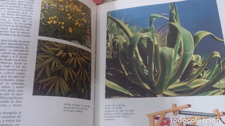 Enciclopedias antiguas: ENCICLOPEDIA DISNEY - Foto 26