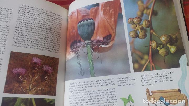 Enciclopedias antiguas: ENCICLOPEDIA DISNEY - Foto 27