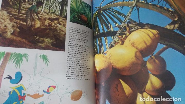 Enciclopedias antiguas: ENCICLOPEDIA DISNEY - Foto 28