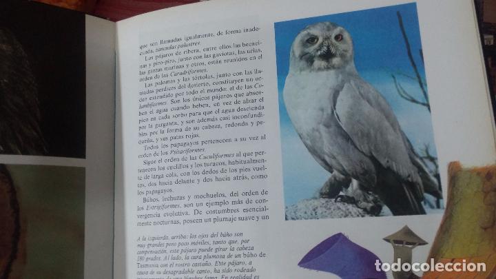 Enciclopedias antiguas: ENCICLOPEDIA DISNEY - Foto 42