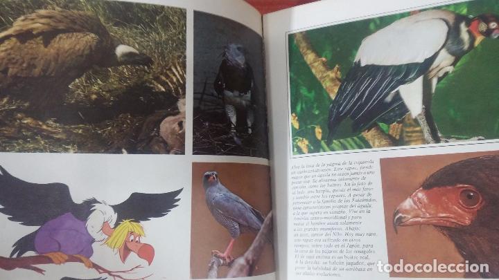 Enciclopedias antiguas: ENCICLOPEDIA DISNEY - Foto 45