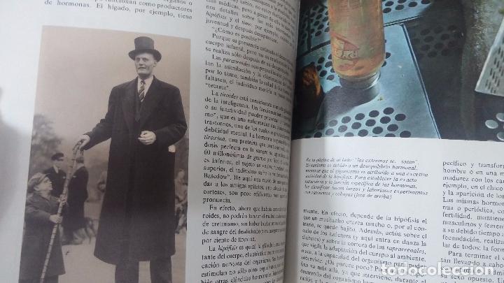 Enciclopedias antiguas: ENCICLOPEDIA DISNEY - Foto 46