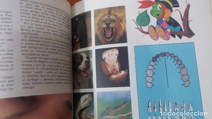 Enciclopedias antiguas: ENCICLOPEDIA DISNEY - Foto 48