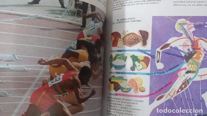 Enciclopedias antiguas: ENCICLOPEDIA DISNEY - Foto 49