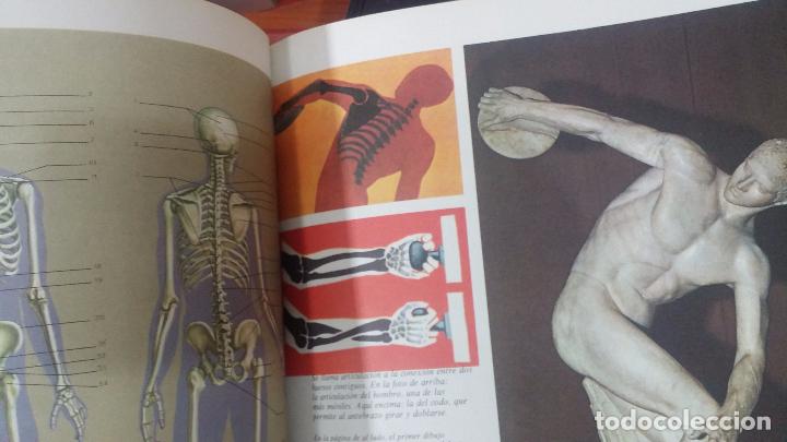 Enciclopedias antiguas: ENCICLOPEDIA DISNEY - Foto 50