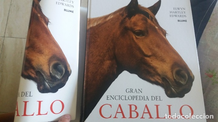 Enciclopedias antiguas: Gran Enciclopedia del Caballo - Foto 6