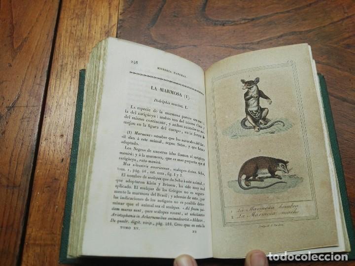Enciclopedias antiguas: Obras completas de Buff&oacute;n. 1832. - Foto 9