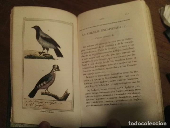 Enciclopedias antiguas: Obras completas de Buff&oacute;n. 1832. - Foto 10