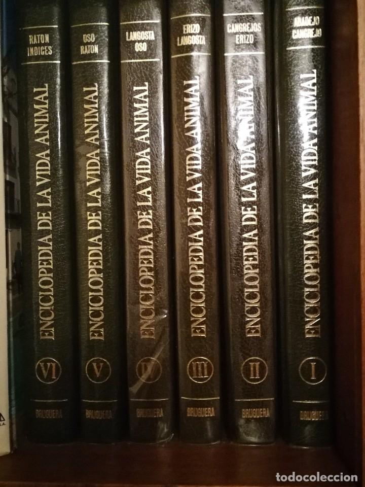 Old encyclopedias: ENCICLOPEDIA VIDA ANIMAL EDITORIAL RUEDA