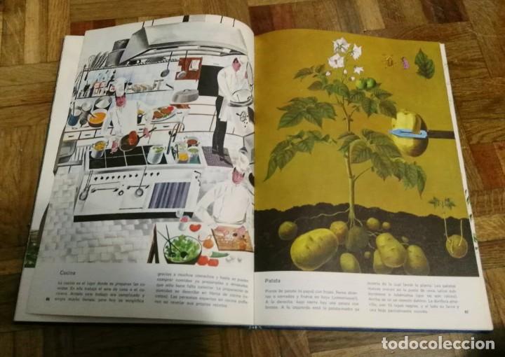 Enciclopedias antiguas: Nuestro Mundo en Color Enciclopedia Juvenil Ilustrada Edición Especial Discolibro 1974 - Foto 5 - 189290936