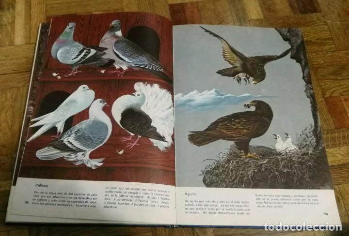 Enciclopedias antiguas: Nuestro Mundo en Color Enciclopedia Juvenil Ilustrada Edición Especial Discolibro 1974 - Foto 7 - 189290936
