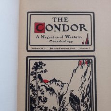 Enciclopedias antiguas: THE CONDOR. VOLUME V.18-19 1916-1917. Lote 400684339
