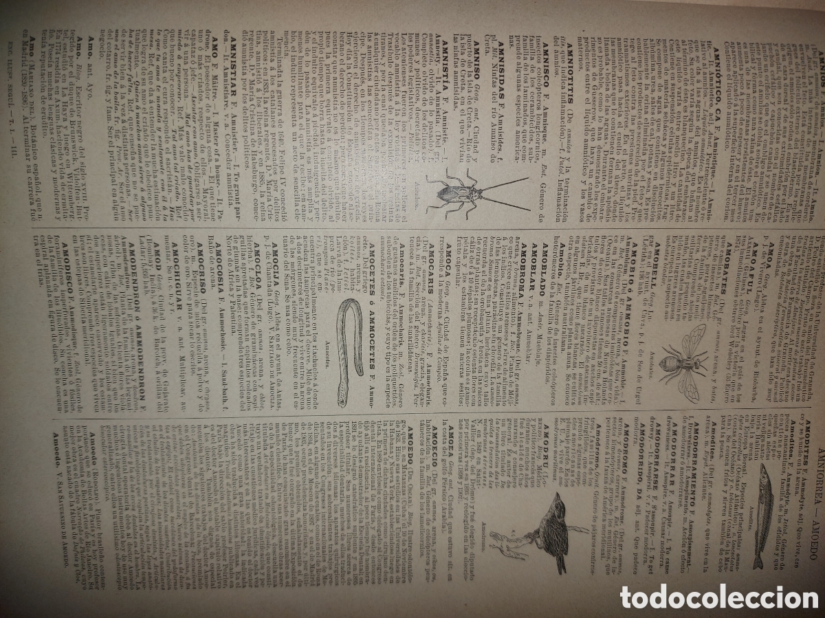 Enciclopedias antiguas: Enciclopedia ilustrada segui - Foto 8