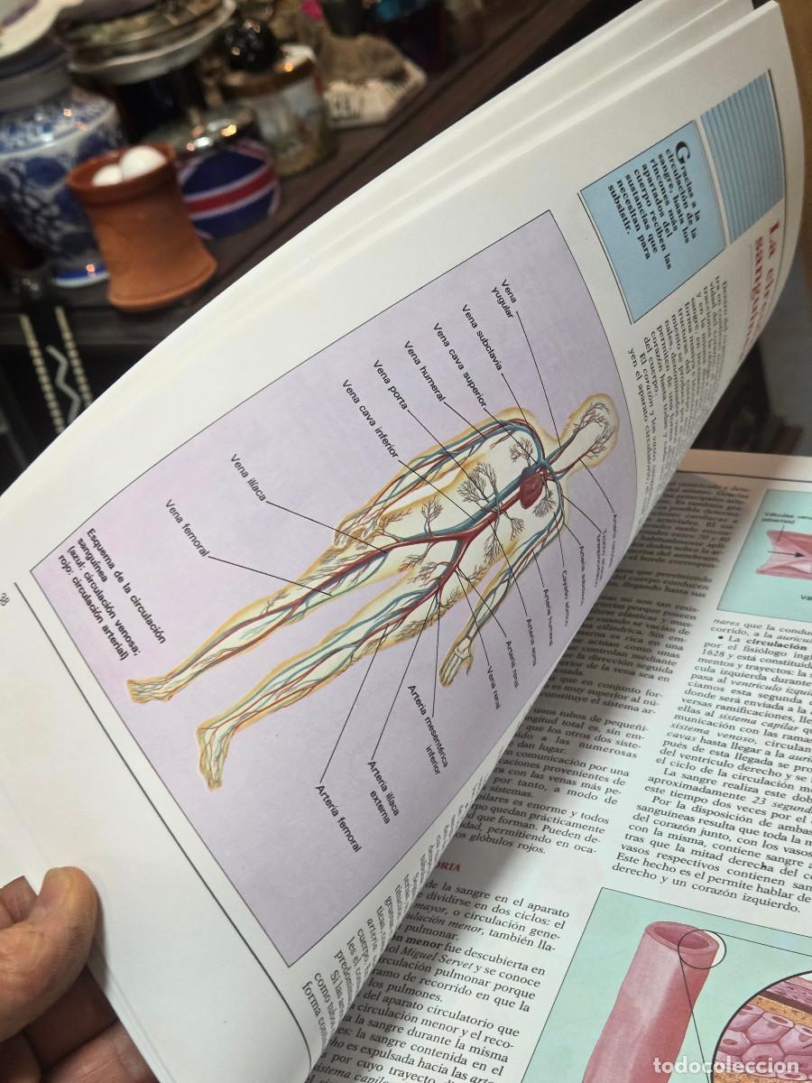 Enciclopedias antiguas: libro de anatomia vintage - Foto 3
