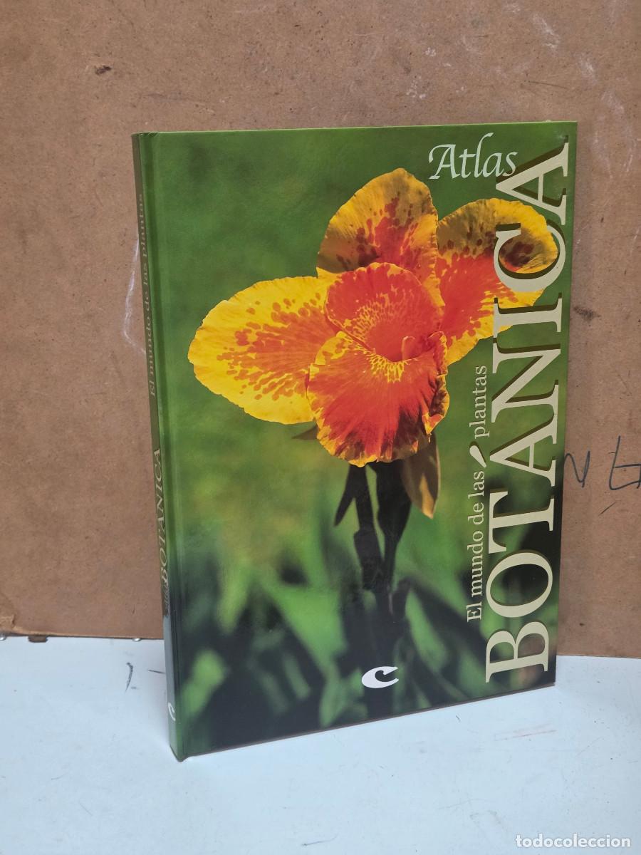 Enciclopedias antiguas: libro de botanica vintage - Foto 1