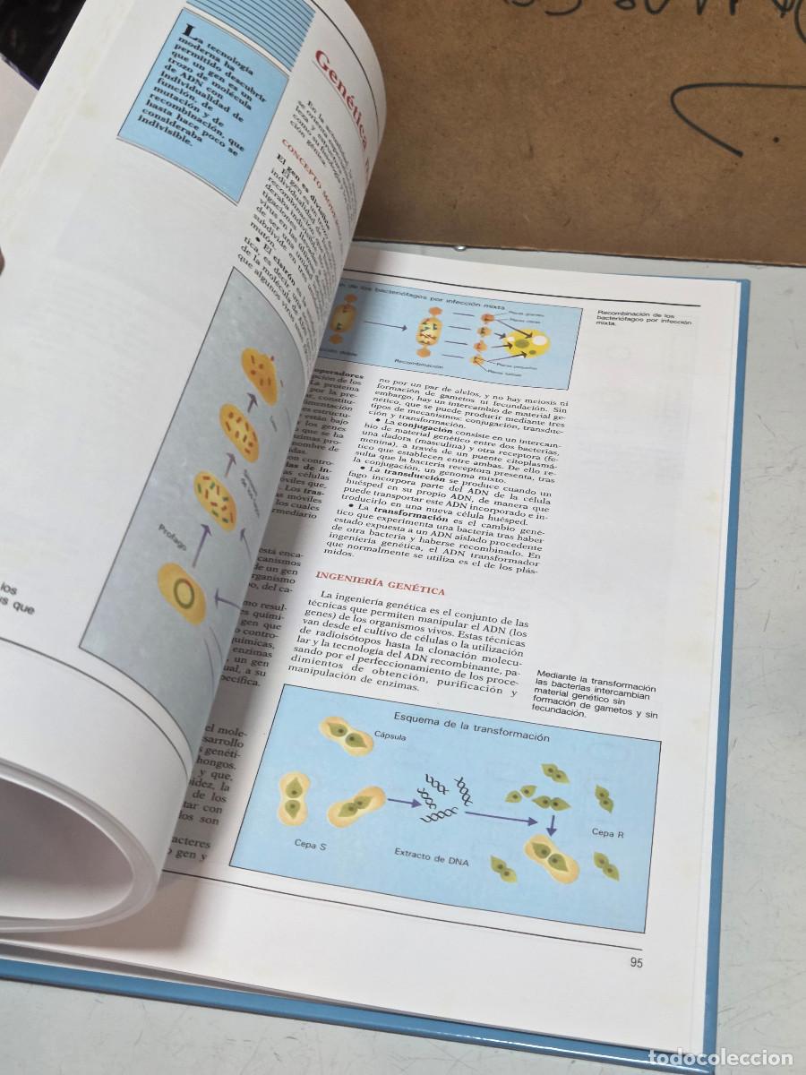 Enciclopedias antiguas: libro de la biologia vintage - Foto 2
