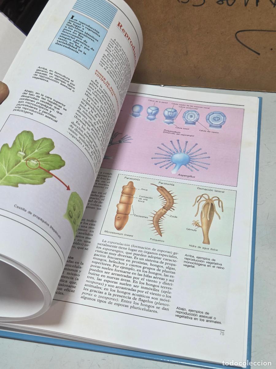 Enciclopedias antiguas: libro de la biologia vintage - Foto 4