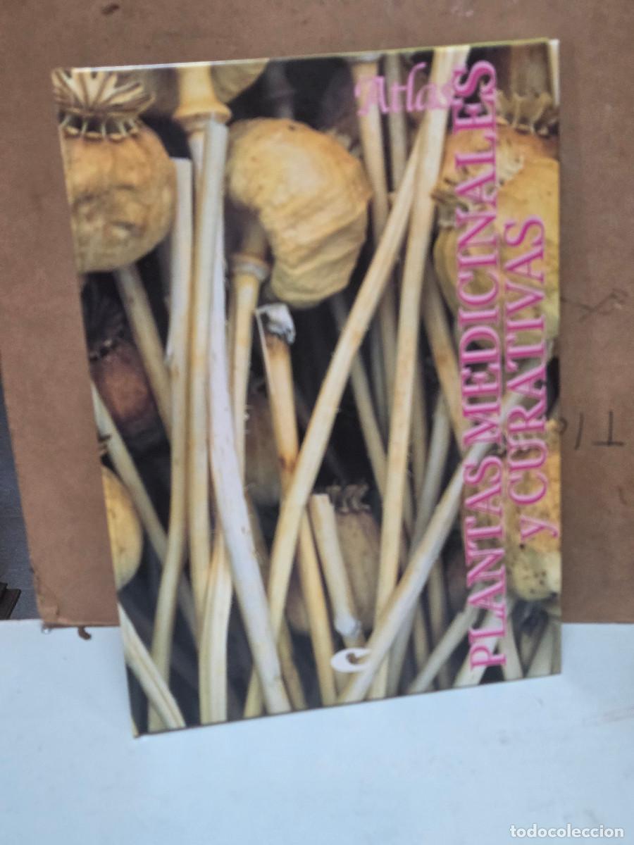 Enciclopedias antiguas: libro de plantas medicinales - Foto 1