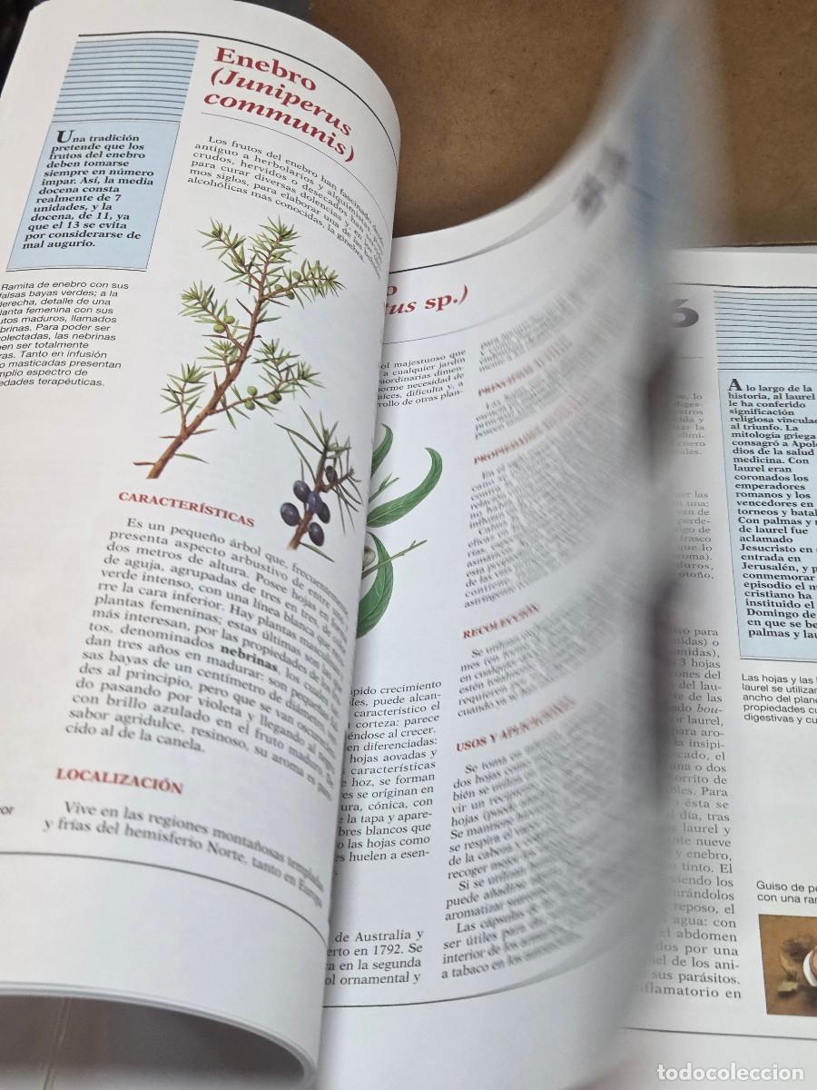 Enciclopedias antiguas: libro de plantas medicinales - Foto 3