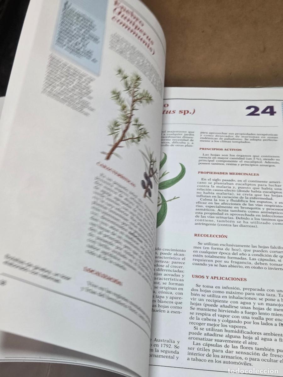 Enciclopedias antiguas: libro de plantas medicinales - Foto 4