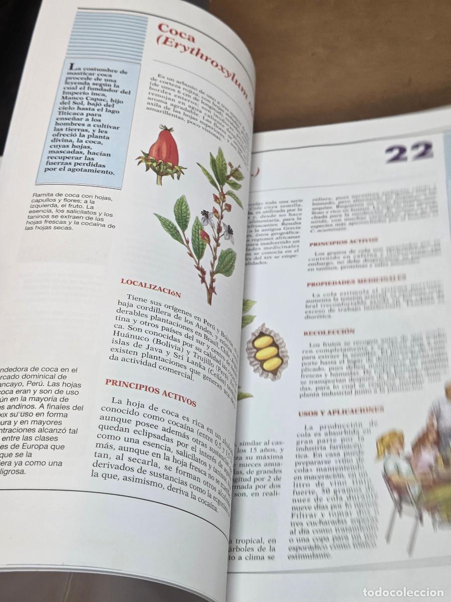 Enciclopedias antiguas: libro de plantas medicinales - Foto 5