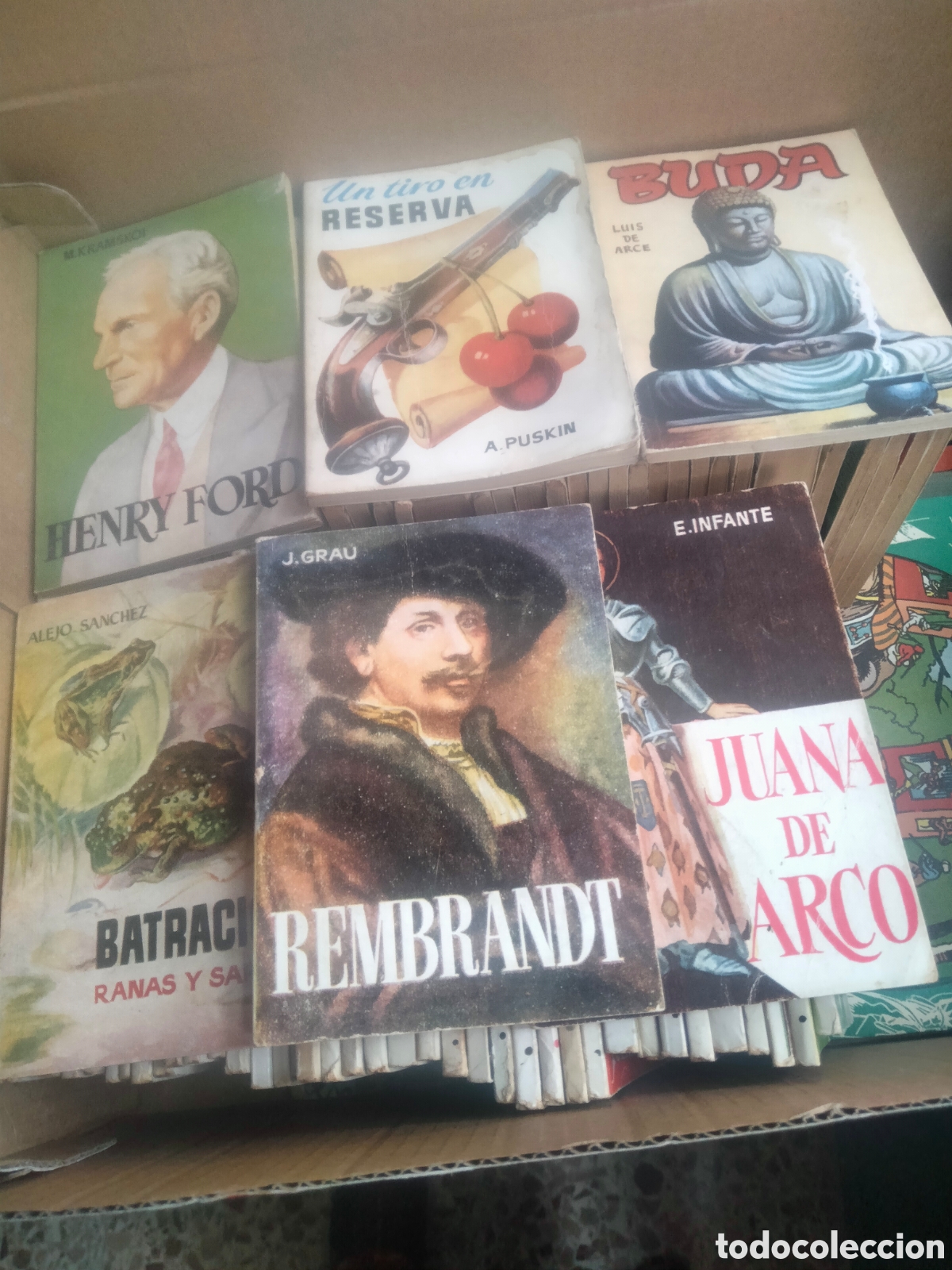 Livros antigos: Enciclopedia mini libros editorial pulga