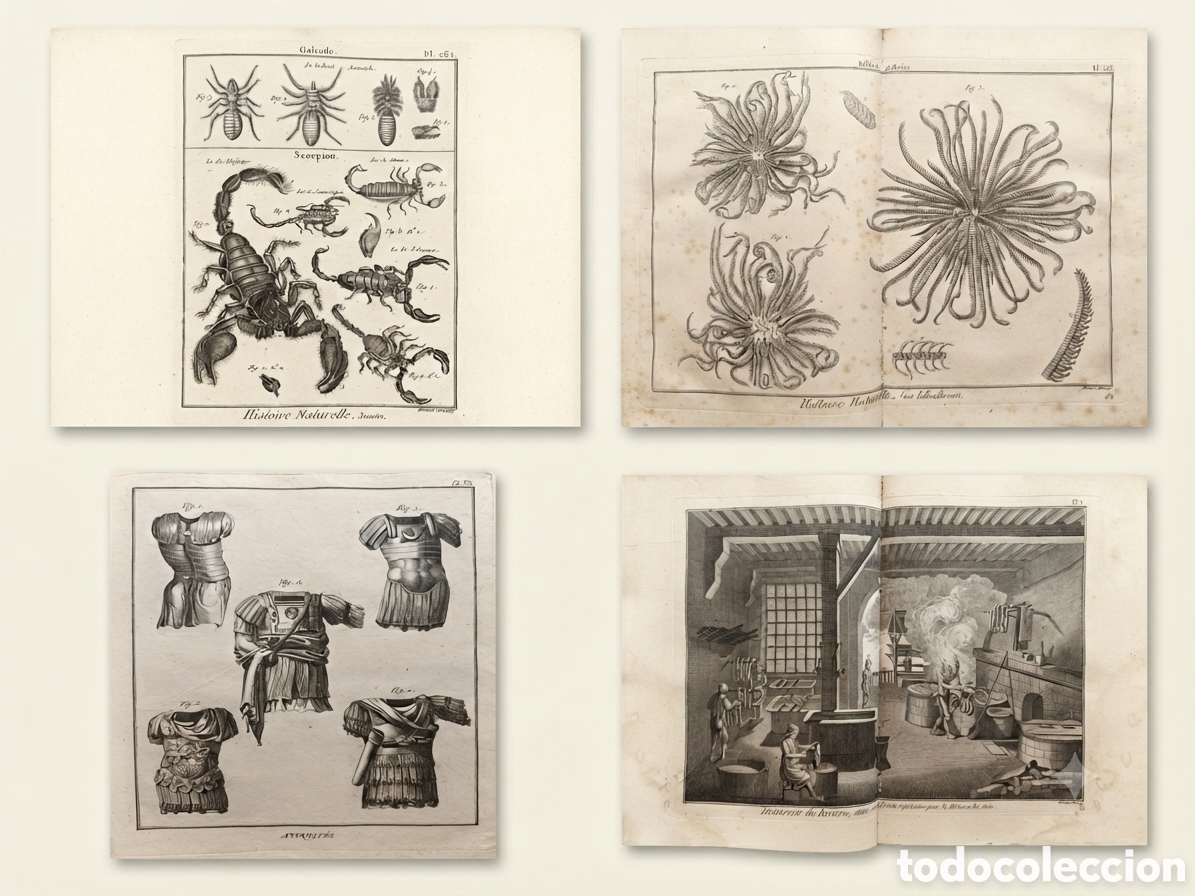Enciclopedias antiguas: Encyclop&eacute;die m&eacute;thodique (Panckoucke) &ndash; 4 vol&uacute;menes originales (1790&ndash;1804) &ndash; Cerca de 500 l&aacute;minas gra