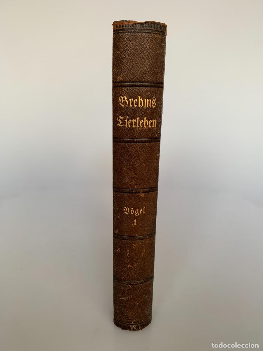 Enciclopedias antiguas: Libro La Vida de los Animales de Brehm Tierleben Aves Vol 1 1920