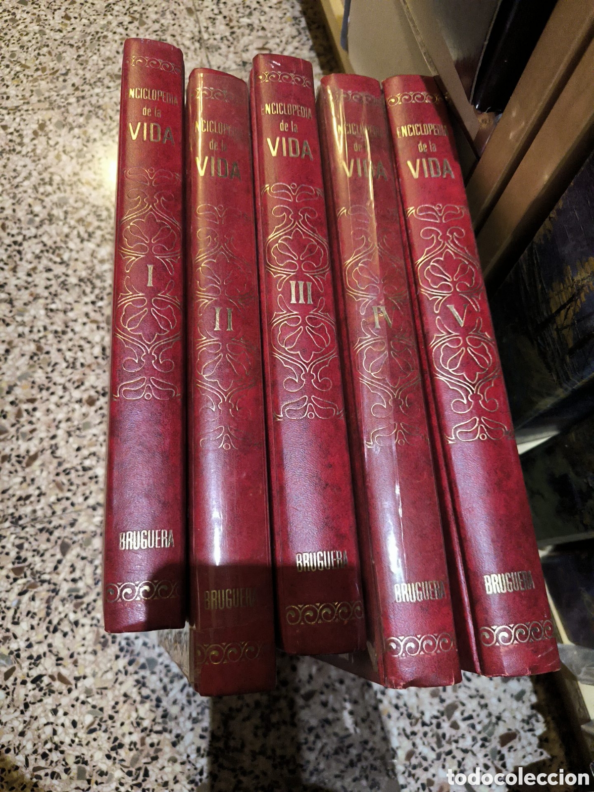 Enciclopedias antiguas: Enciclopedia de la Vida &ndash; Colecci&oacute;n completa 5 tomos &ndash; Editorial Bruguera &ndash; A&ntilde;os 70