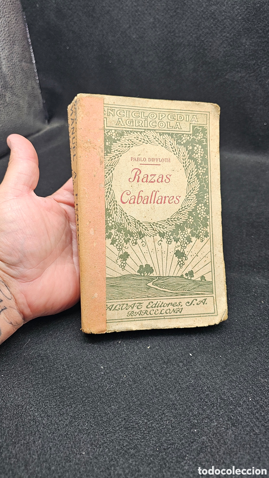 Enciclopedias antiguas: 1927 Razas caballares: cr&iacute;a y explotaci&oacute;n de los caballos de silla y de tiro