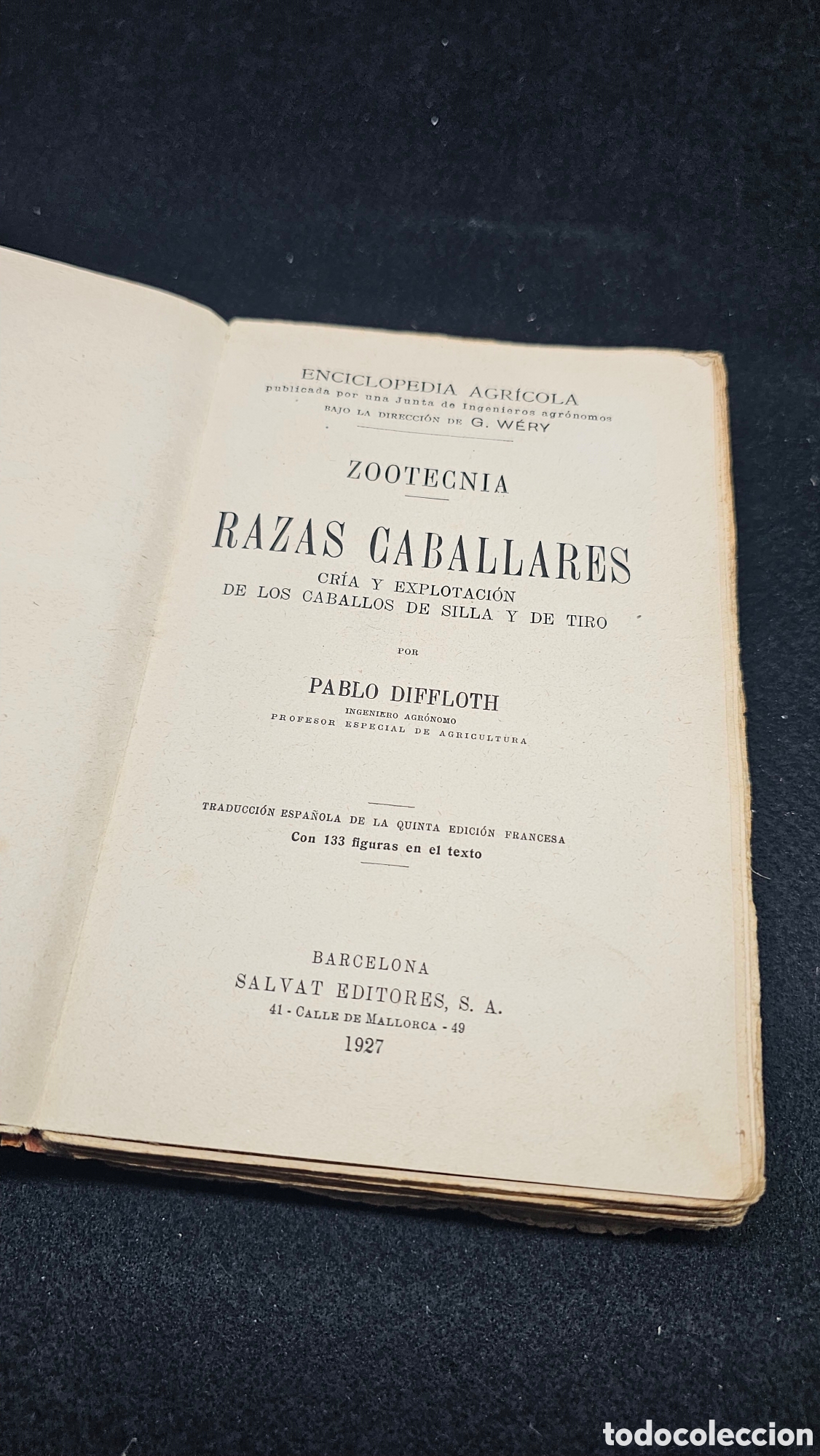 Enciclopedias antiguas: 1927 Razas caballares: cr&iacute;a y explotaci&oacute;n de los caballos de silla y de tiro