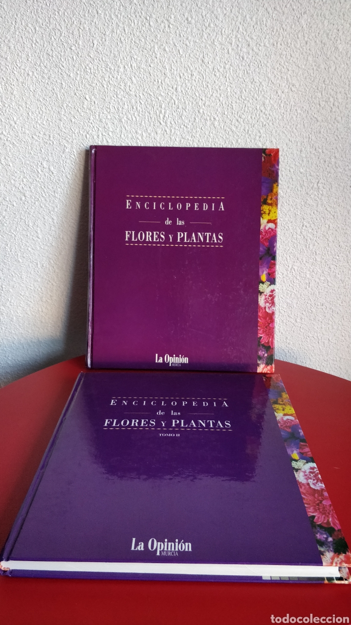 ENCICLOPEDIA DE LAS FLORES Y PLANTAS. 2 TOMOS. DIARIO LA OPINIÓN. CAM (Libros Nuevos - Diccionarios y Enciclopedias - Enciclopedias)