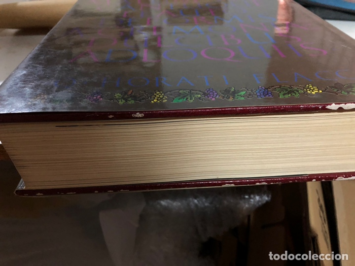 Enciclopedias: El nuevo gran libro del vino - Foto 3