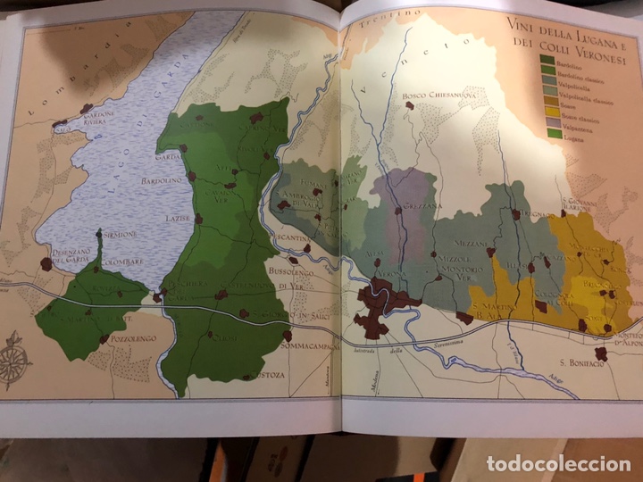 Enciclopedias: El nuevo gran libro del vino - Foto 5