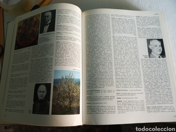 Enciclopedias: Gran enciclopedia catalana - Foto 4