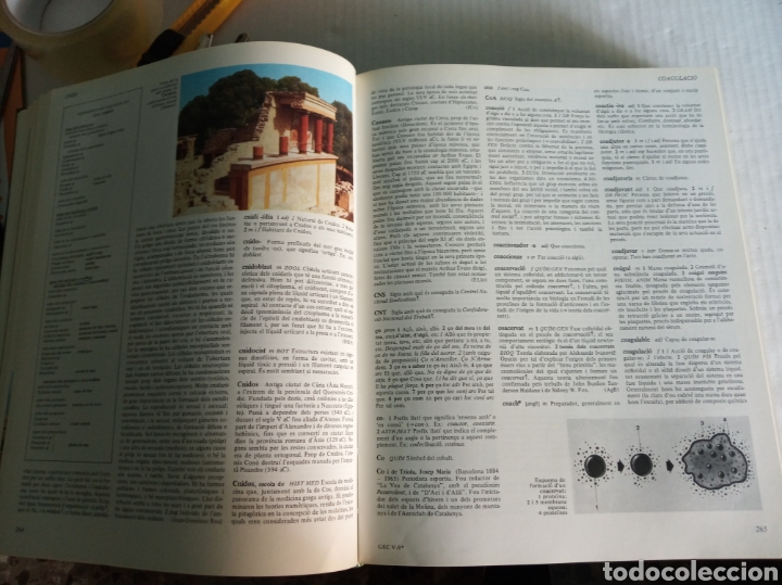 Enciclopedias: Gran enciclopedia catalana - Foto 5