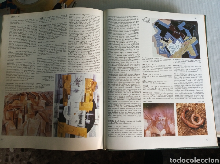 Enciclopedias: Gran enciclopedia catalana - Foto 11