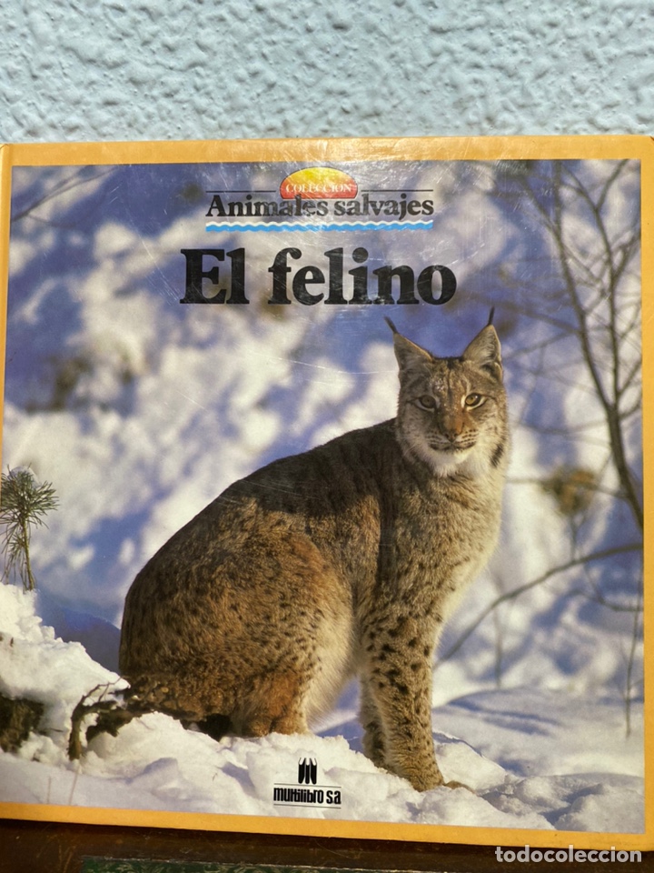Enciclopedias: Libros animales salvajes - Foto 5