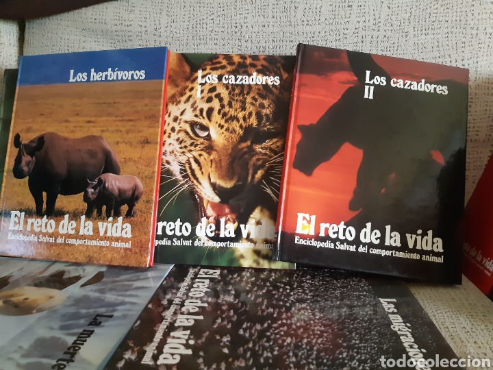 Enciclopedias: Enciclopedia.El reto de la vida - Foto 2