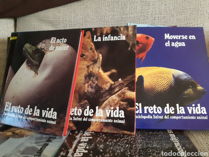 Enciclopedias: Enciclopedia.El reto de la vida - Foto 3