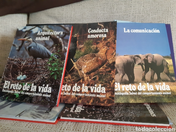 Enciclopedias: Enciclopedia.El reto de la vida - Foto 4
