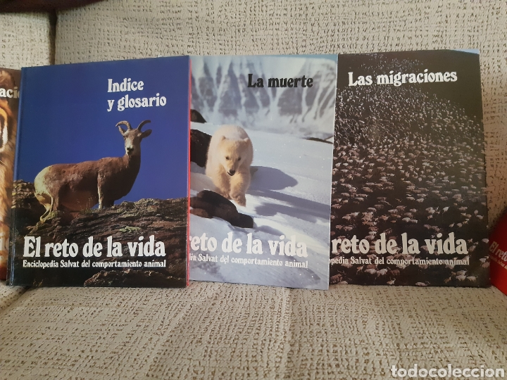 Enciclopedias: Enciclopedia.El reto de la vida - Foto 5