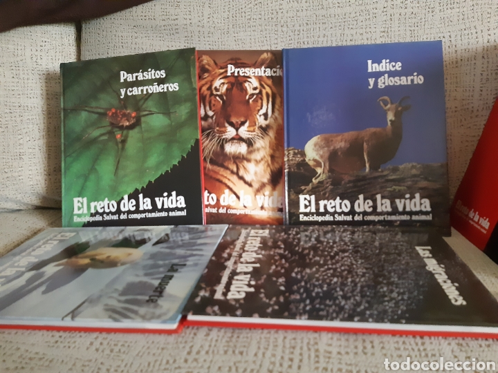 Enciclopedias: Enciclopedia.El reto de la vida - Foto 1