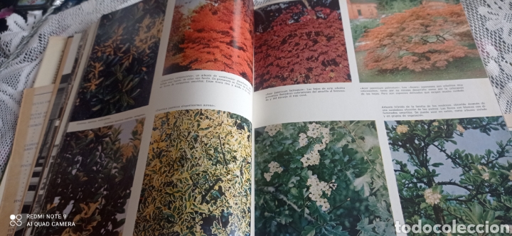 Enciclopedias: El libro de los jardines. 1970 - Foto 6