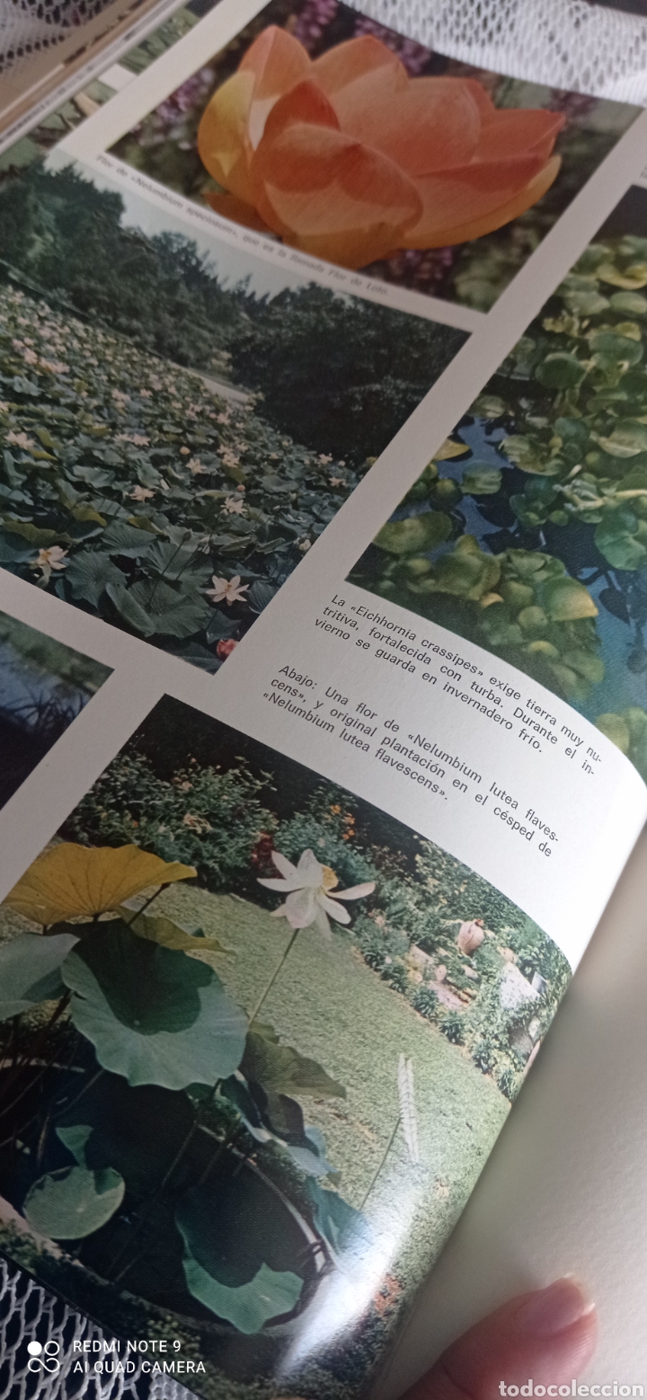 Enciclopedias: El libro de los jardines. 1970 - Foto 8
