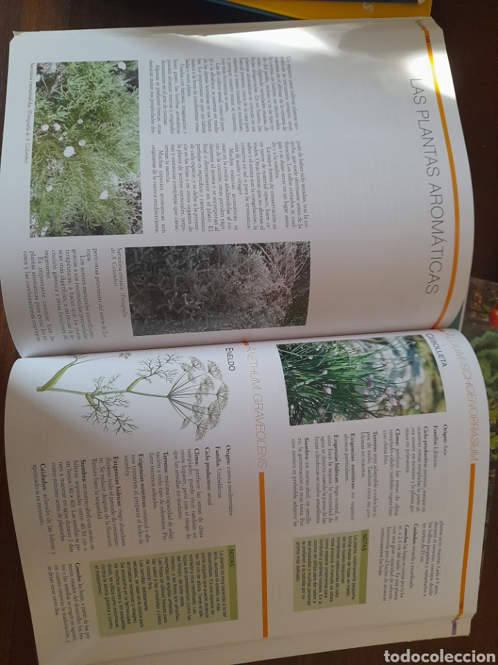 Enciclopedias: Gran enciclopedia del huerto. - Foto 3